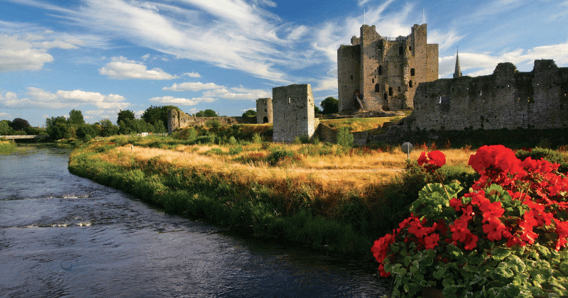 Hotel Trim Castle