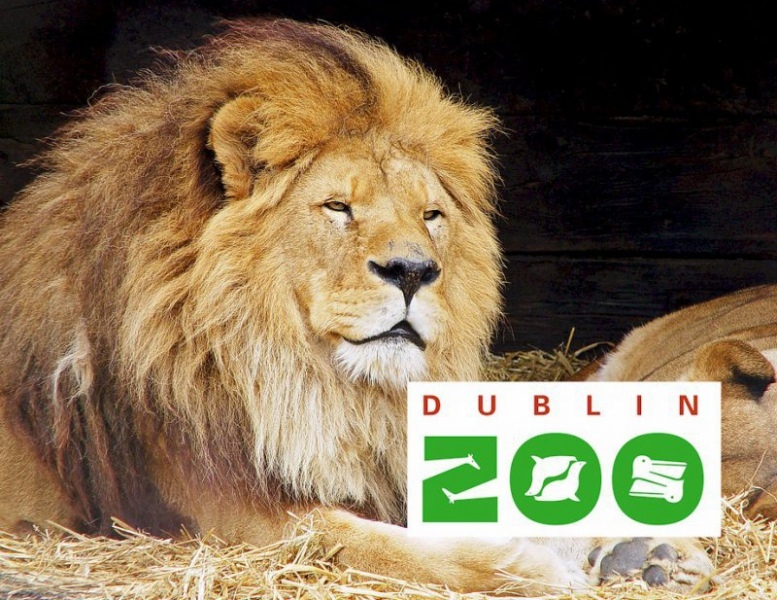 2020 Summer family packages at the Ardboyne Hotel