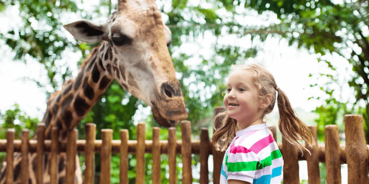 Family Fun at Ardboyne Hotel